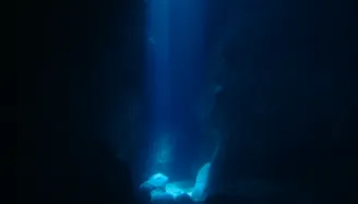 世界No.1の透明度のロタ島のパワースポット、光のシャワーを浴びませんか？